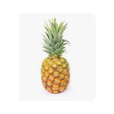 파인애플(정기구독)